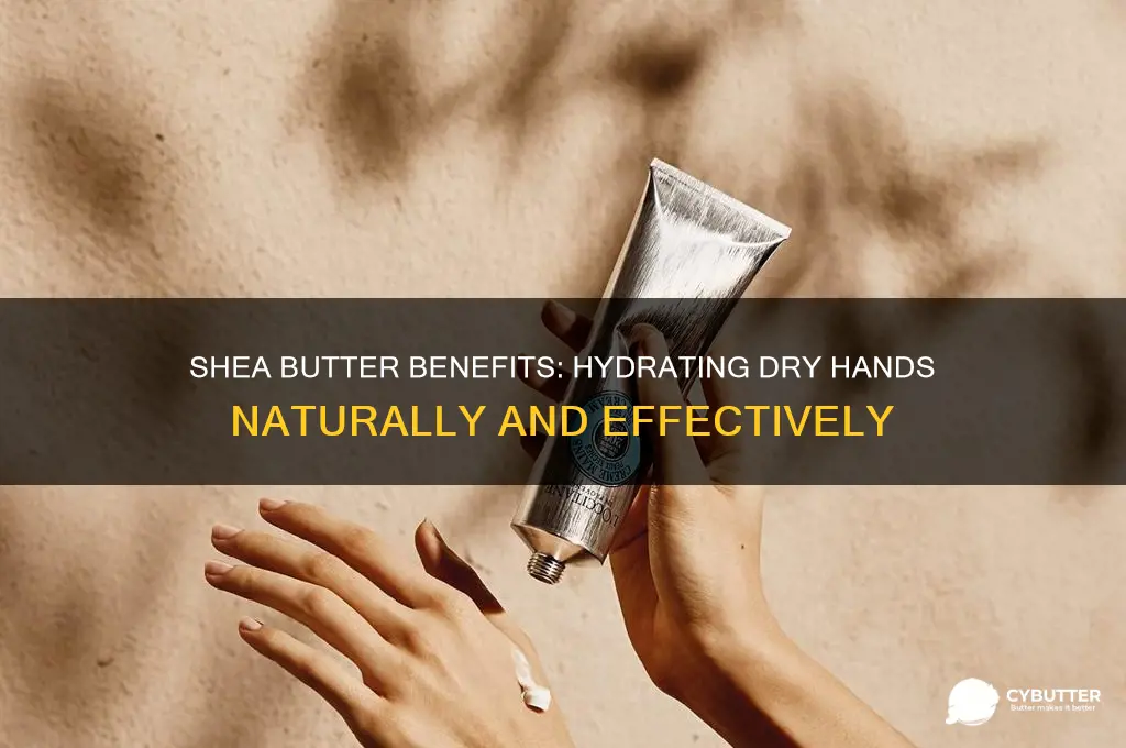 is shea butter good for dry hands