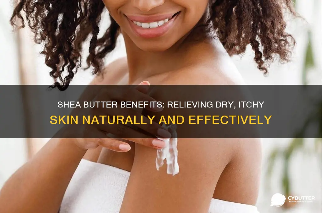 is shea butter good for dry itchy skin