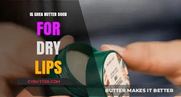 Shea Butter for Dry Lips: Hydrating Benefits and How to Use It
