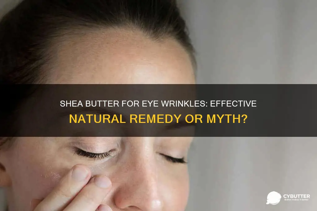 is shea butter good for eye wrinkles