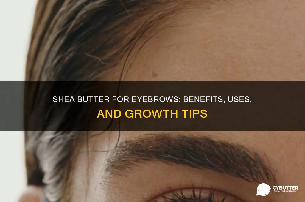 is shea butter good for eyebrows