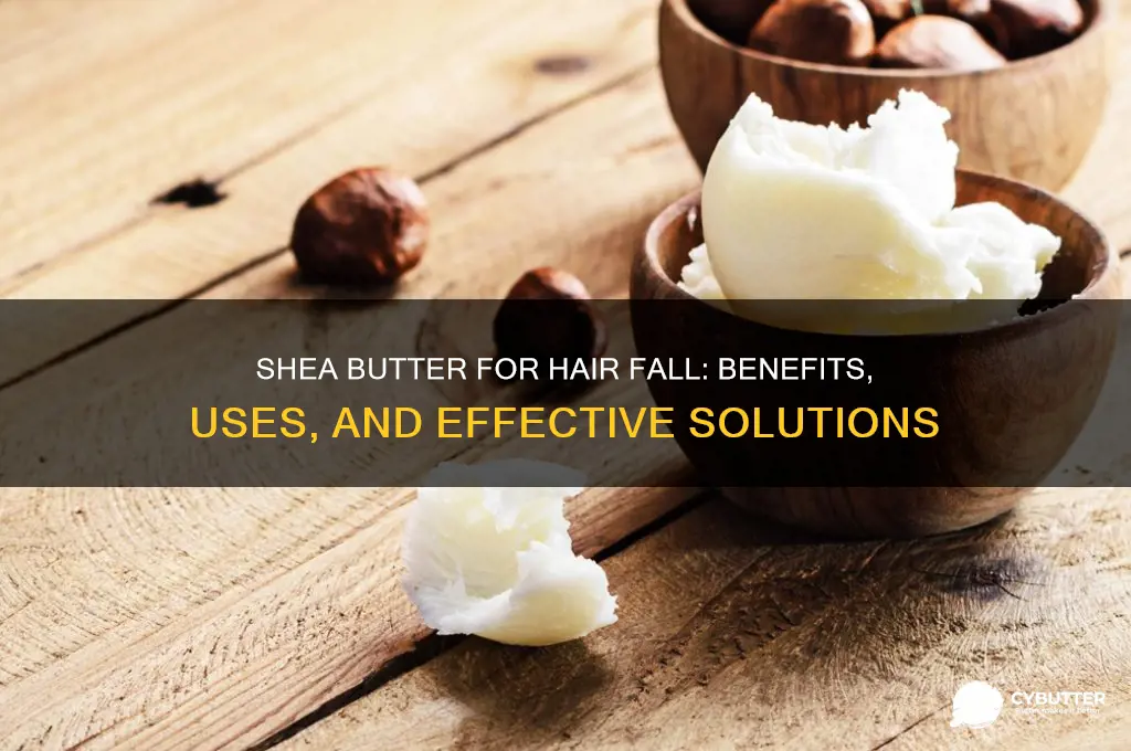 is shea butter good for hair fall
