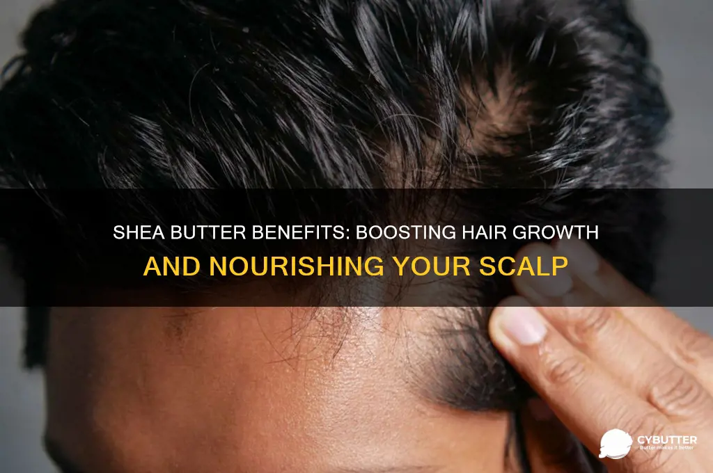 is shea butter good for hair growth