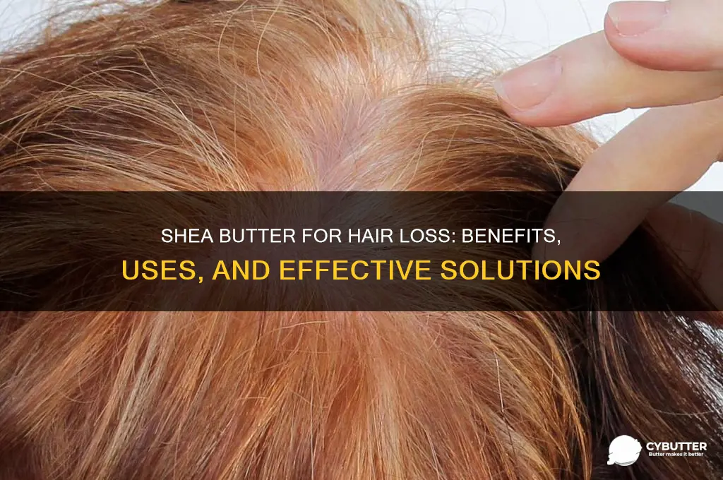 is shea butter good for hair loss