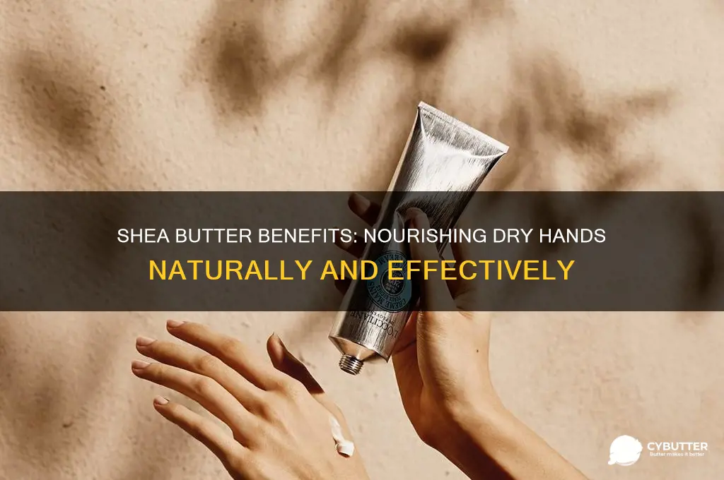 is shea butter good for hands