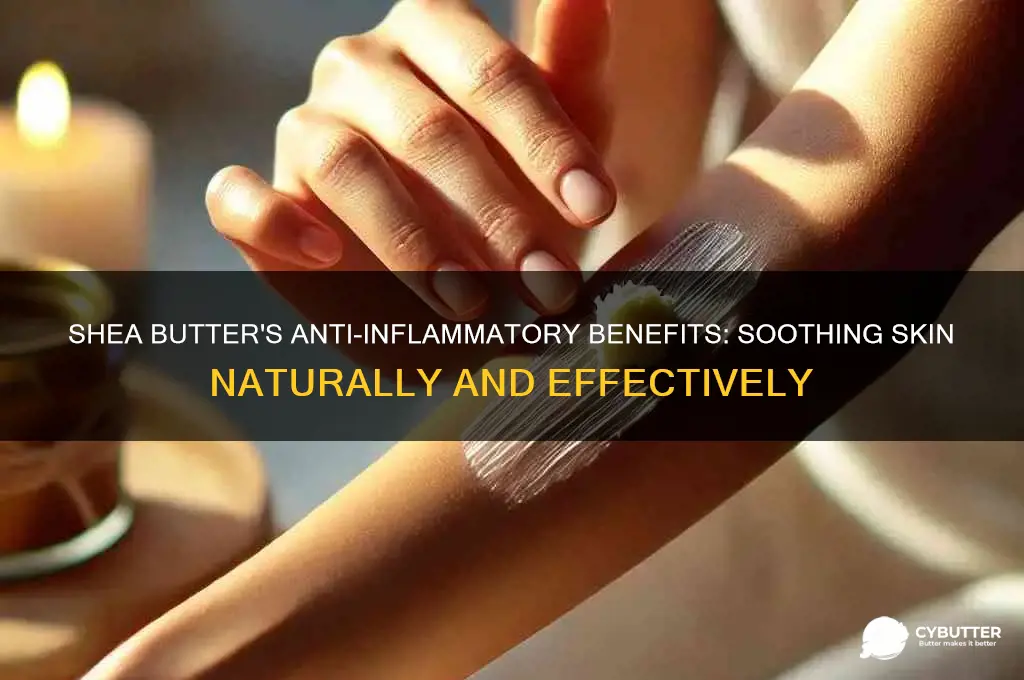 is shea butter good for inflammation