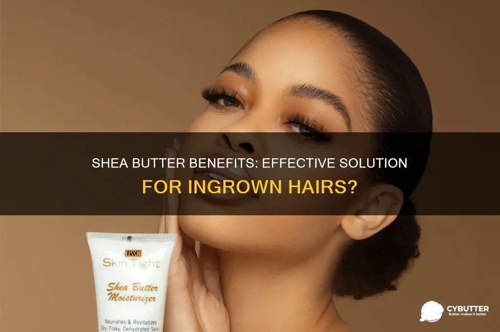 is shea butter good for ingrown hairs