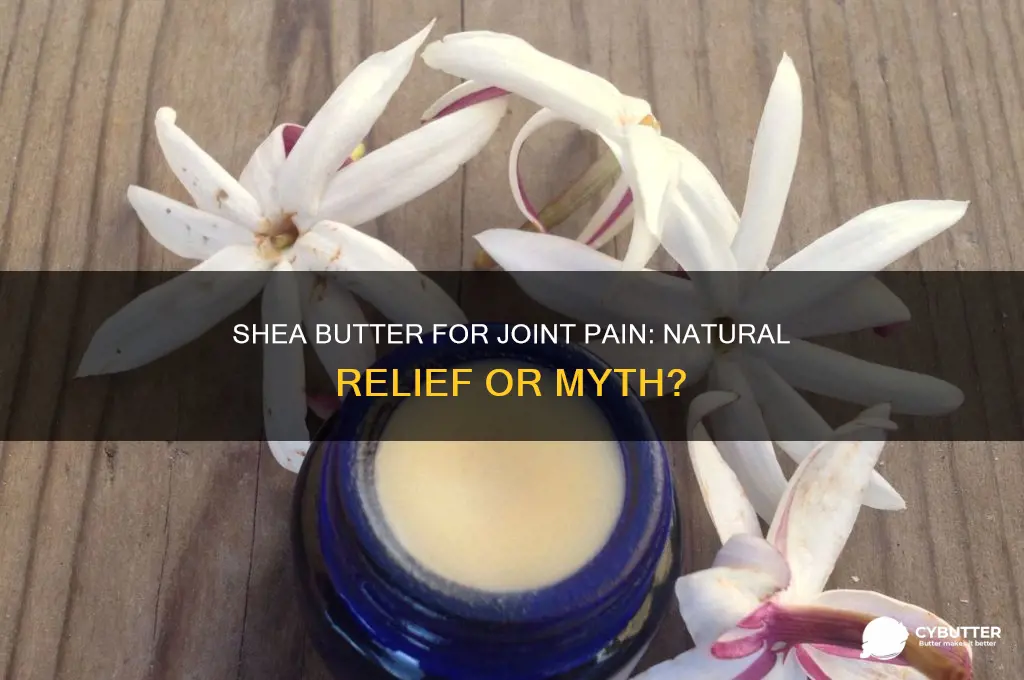 is shea butter good for joint pain