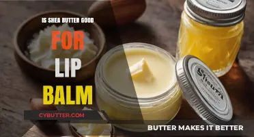 Shea Butter Lip Balm Benefits: Hydration, Healing, and Natural Care