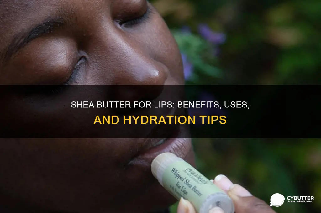 is shea butter good for lips