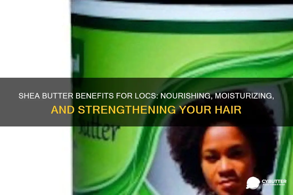 is shea butter good for locs