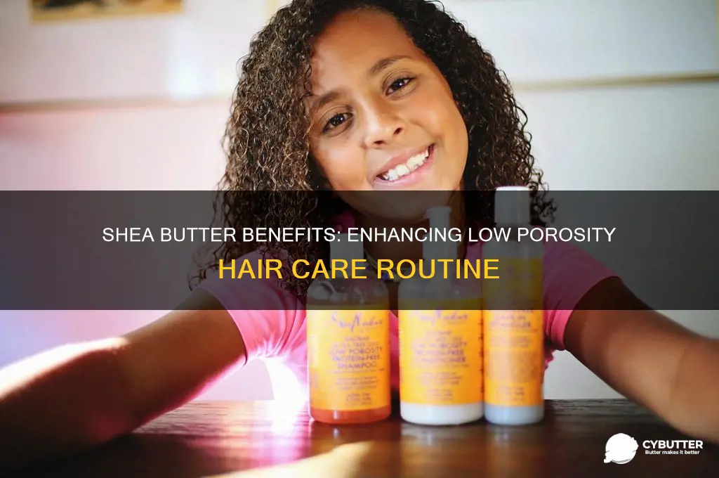 is shea butter good for low porosity hair