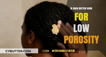 Shea Butter Benefits: Ideal Moisture for Low Porosity Hair?