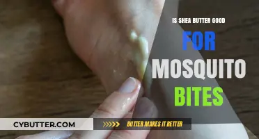 Shea Butter for Mosquito Bites: Natural Relief and Healing Benefits