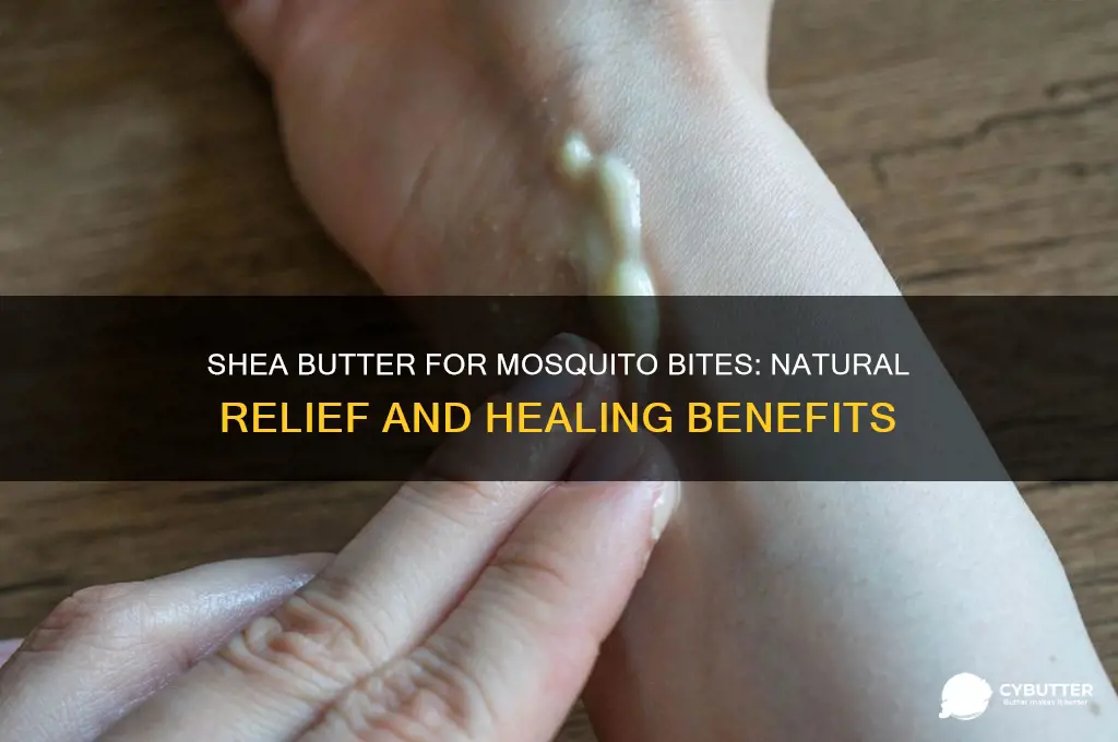 is shea butter good for mosquito bites