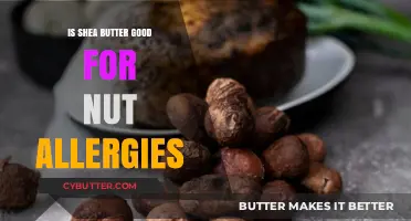 Shea Butter and Nut Allergies: Safe or Risky for Sensitive Skin?