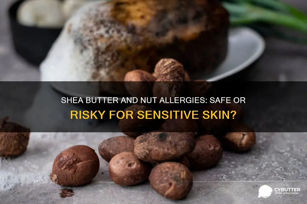 is shea butter good for nut allergies