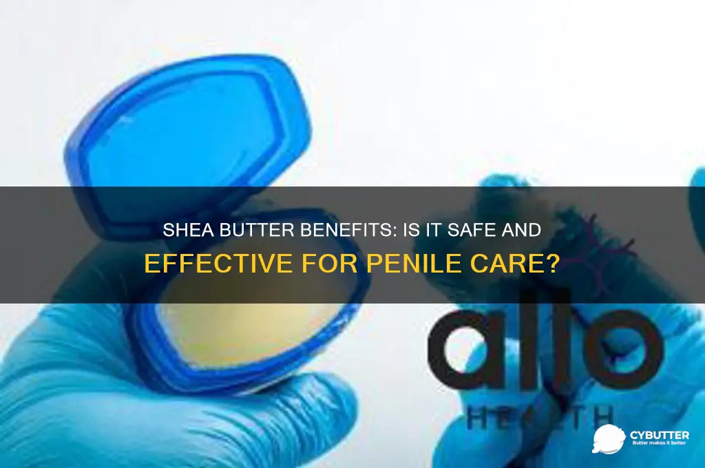 is shea butter good for penis