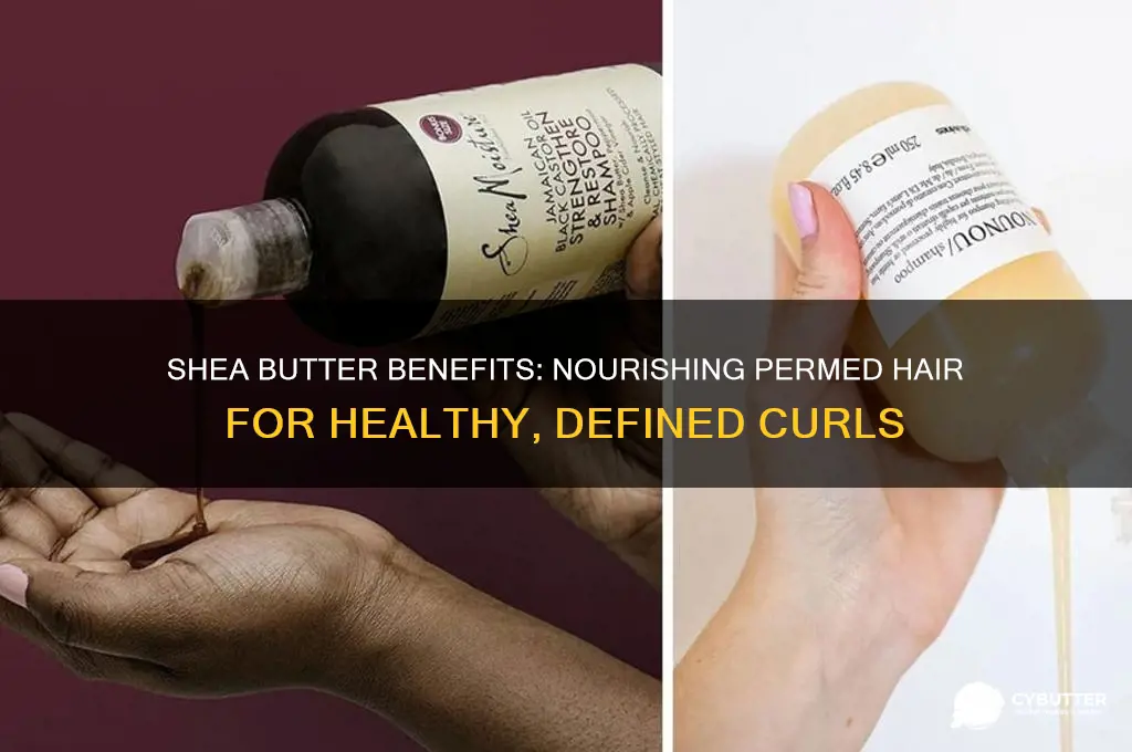 is shea butter good for permed hair