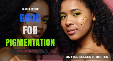 Shea Butter Benefits: Can It Fade Pigmentation and Even Skin Tone?