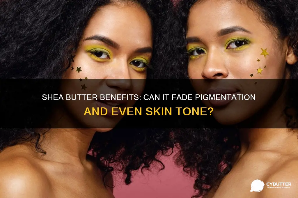 is shea butter good for pigmentation