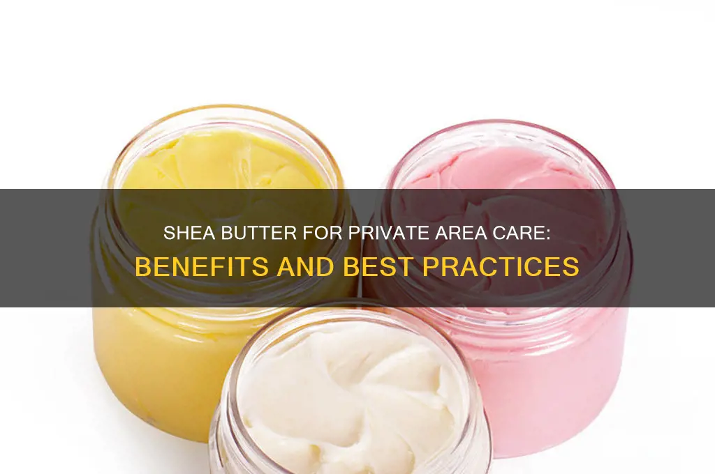 is shea butter good for private area