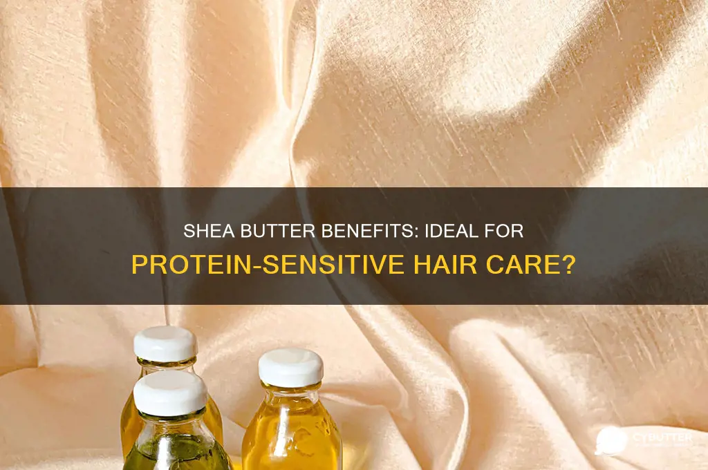 is shea butter good for protein sensitive hair