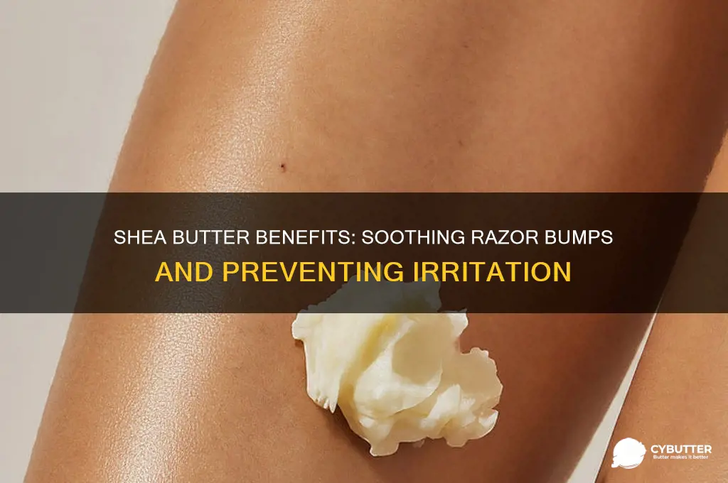 is shea butter good for razor bumps