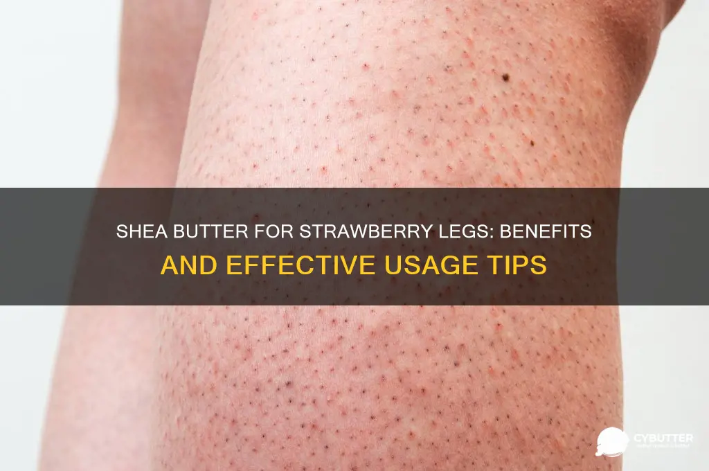 is shea butter good for strawberry legs