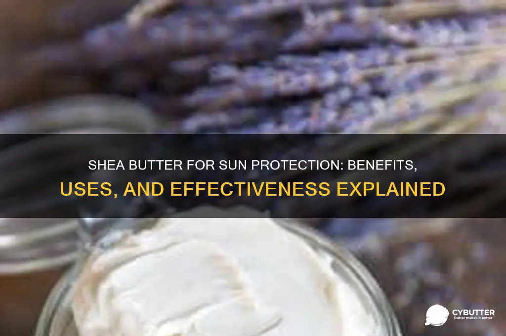 is shea butter good for sun protection