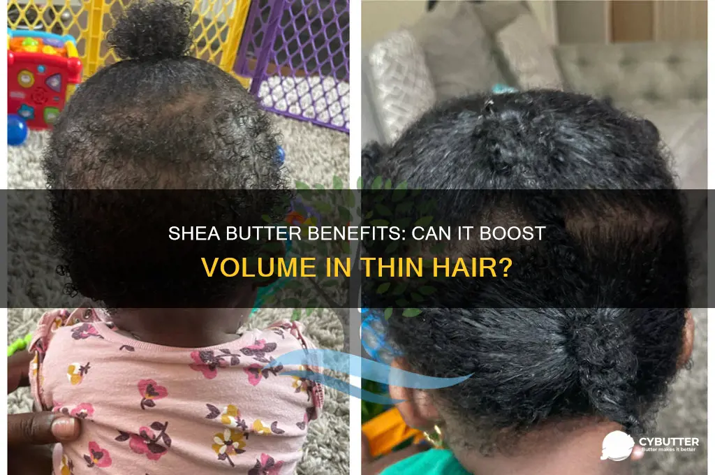 is shea butter good for thin hair