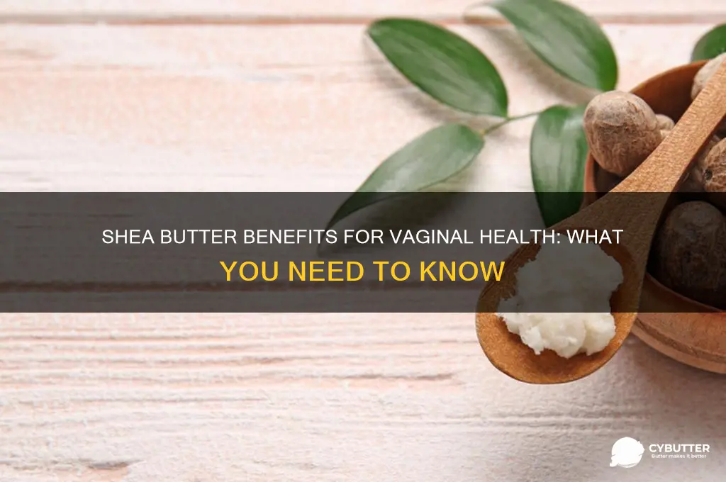 is shea butter good for v