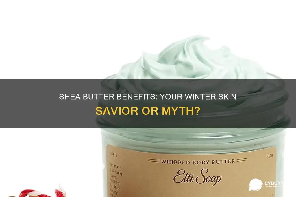 is shea butter good for winter
