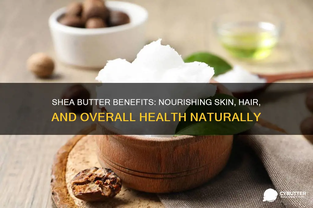 is shea butter good for you