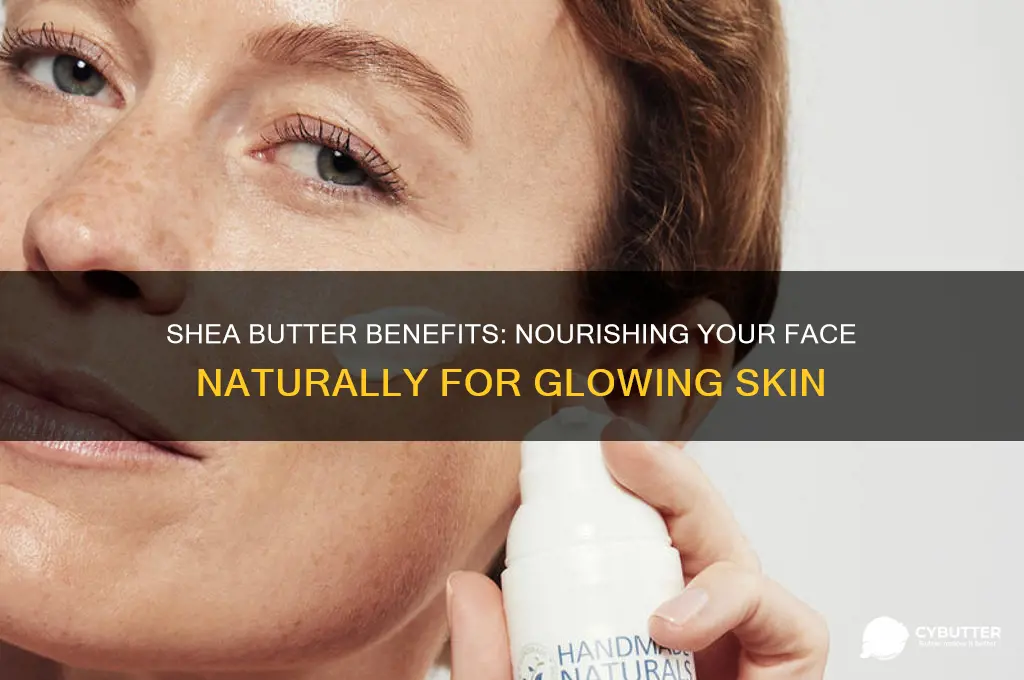 is shea butter good for your face