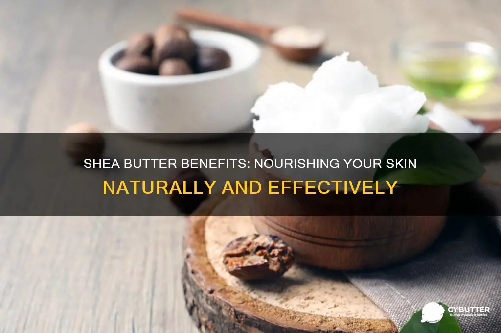 is shea butter good for your skin
