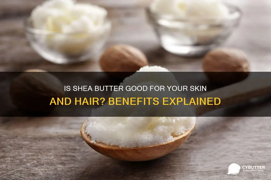 is shea butter good for