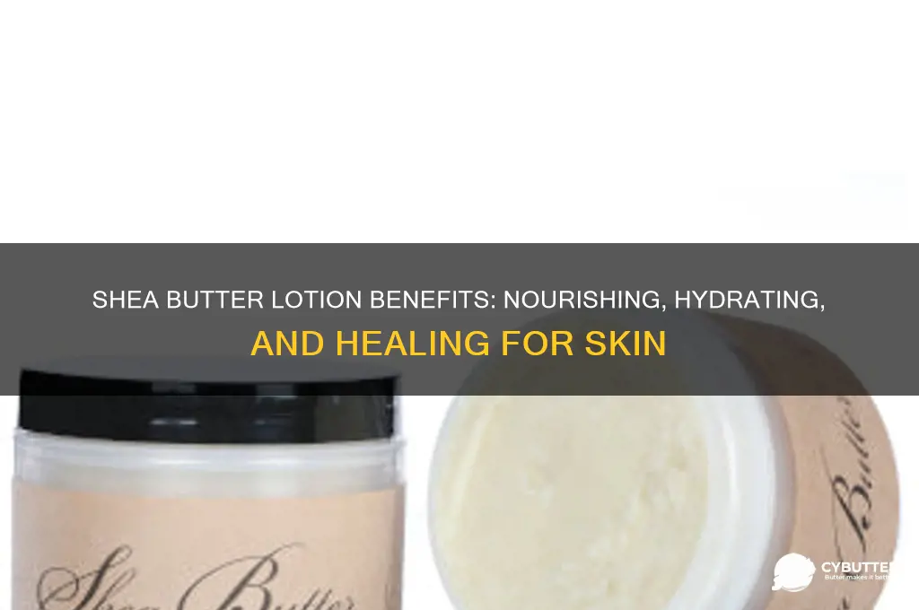 is shea butter lotion good for skin