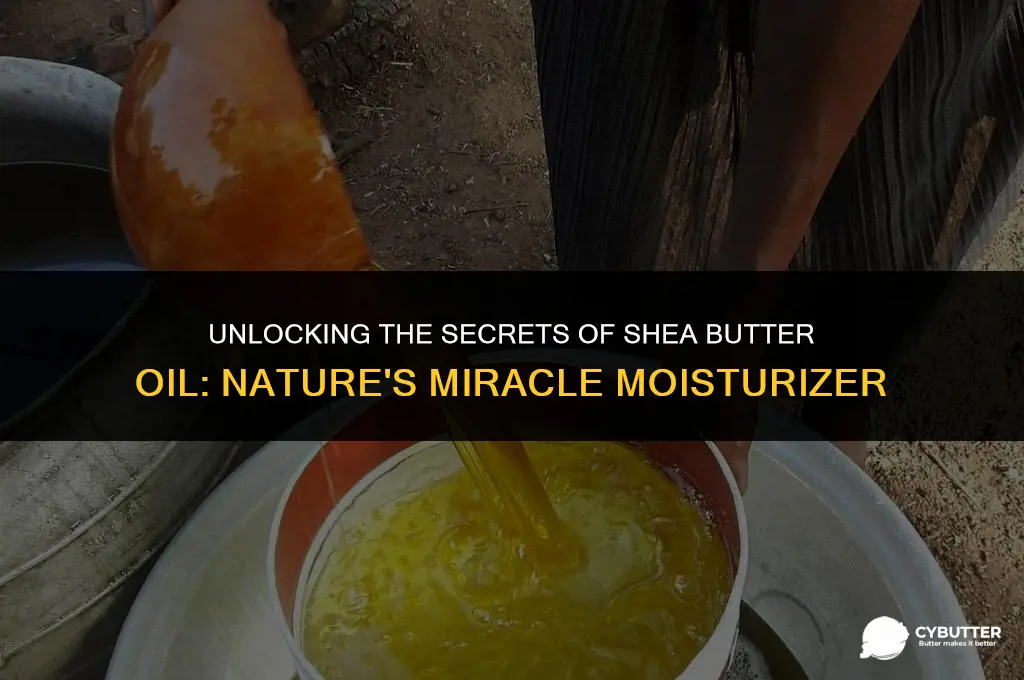 is shea butter oil