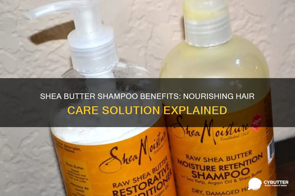 is shea butter shampoo good for hair