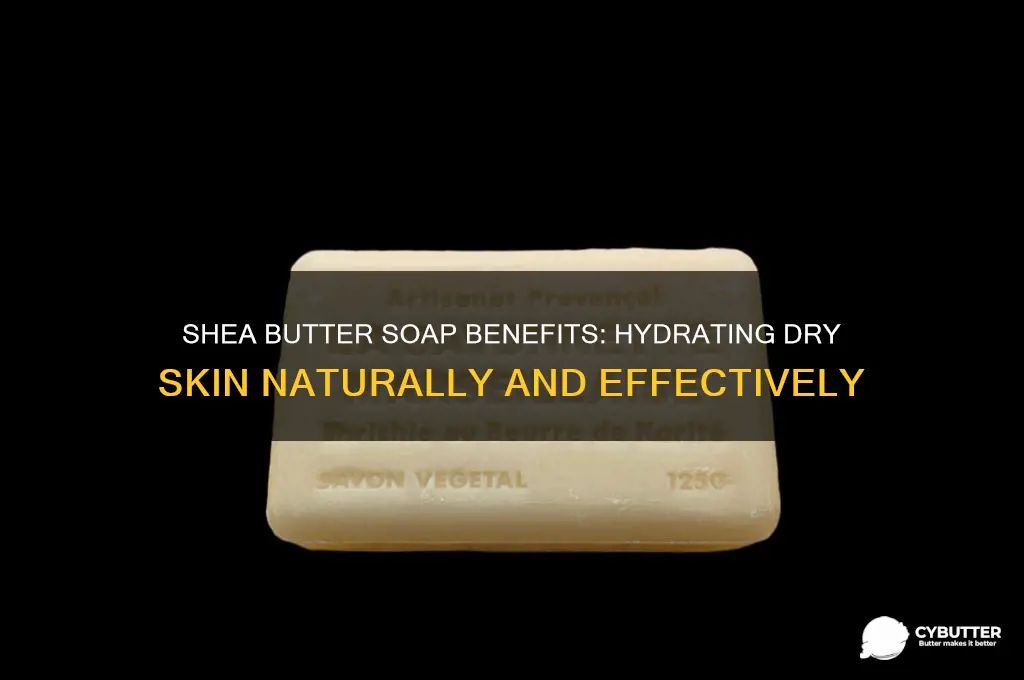 is shea butter soap good for dry skin