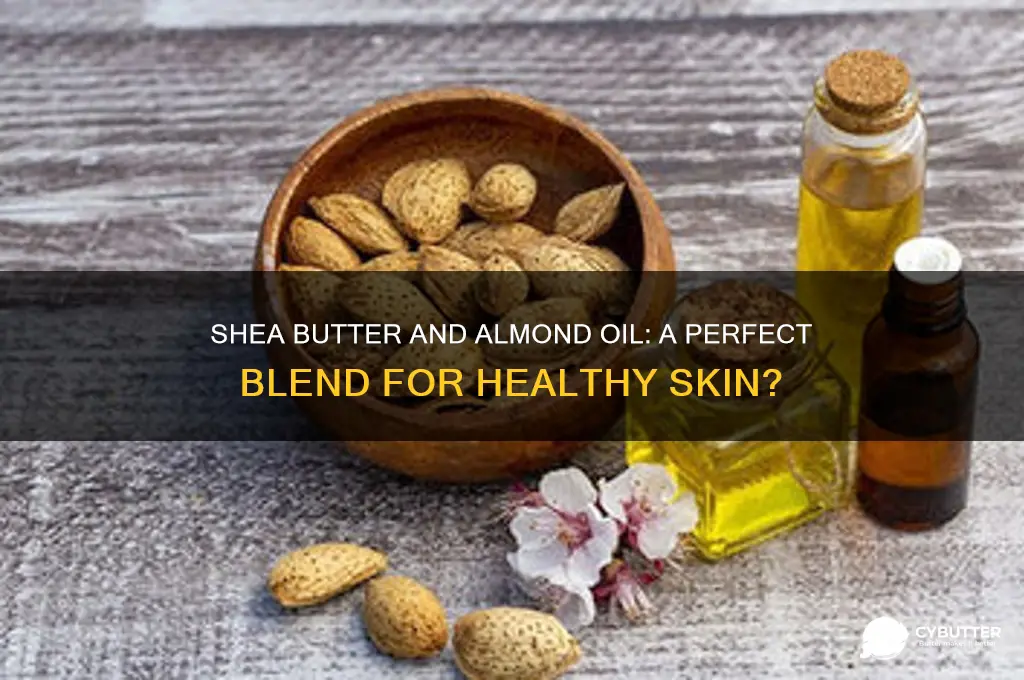 is shea butter with almond oil good for your skin