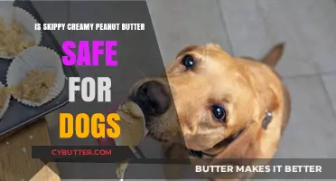 Can Dogs Enjoy Skippy Creamy Peanut Butter Safely?