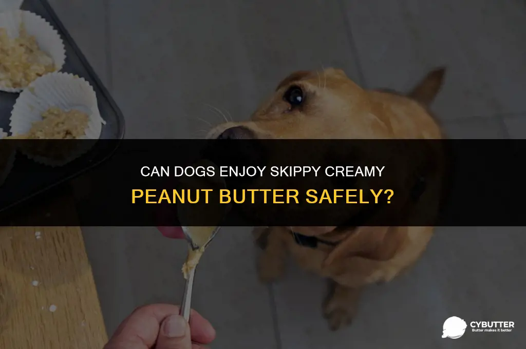 is skippy creamy peanut butter safe for dogs