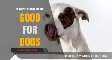 Is Skippy Peanut Butter Safe for Dogs? A Complete Guide