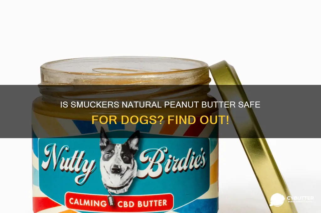 is smuckers natural peanut butter good for dogs