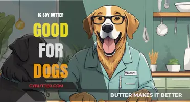 Is Soy Butter Safe for Dogs? Benefits and Risks Explained