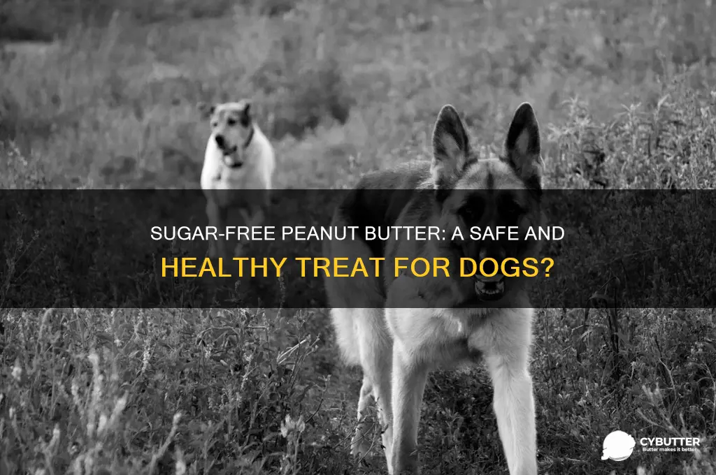 is sugar free peanut butter good for dogs