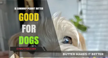 Is Sundrop Peanut Butter Safe for Dogs? A Pet Owner's Guide