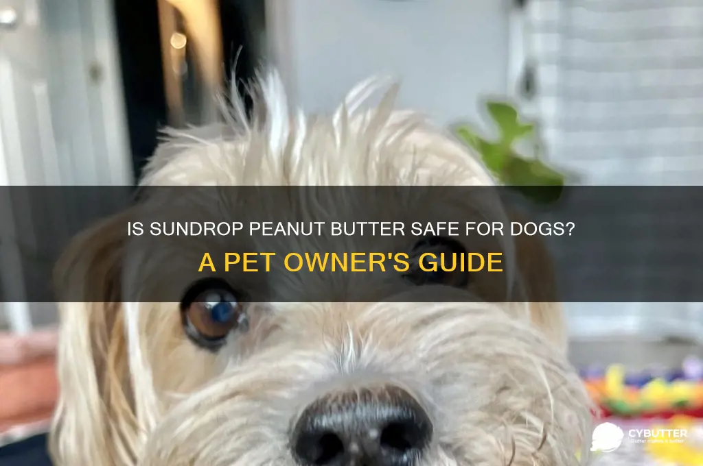 is sundrop peanut butter good for dogs